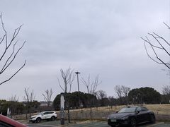 -新木器时代餐厅(太湖新天地店)