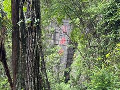 -梭布垭石林景区