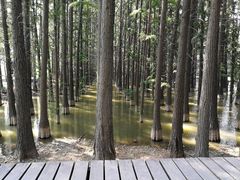 -采石矶景区