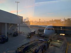 -约翰·菲茨杰拉德·肯尼迪国际机场