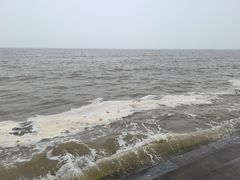 -刘家湾赶海园
