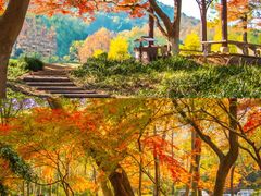 -九曜山