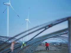 -上海长兴岛郊野公园