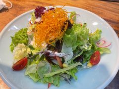 有机蔬菜沙拉-森味薪火烧•烧鸟居酒屋•日本料理(望京店)
