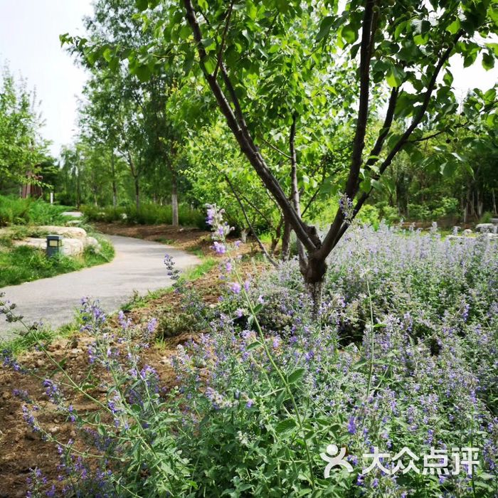 茶棚公园图片-北京公园-大众点评网