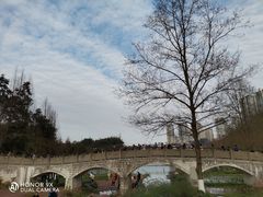-重庆彩云湖湿地公园
