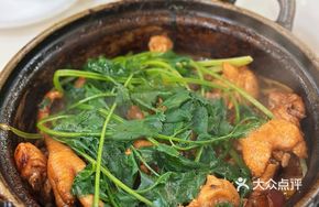 Twenty-Seven-Year West Chicken Pot