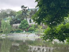 -月湖风景区