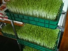 android_upload_pic-禾田下生态餐厅(华天城总店)