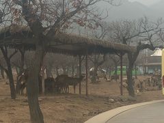 -西安秦岭野生动物园