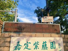 -嘉定紫藤园