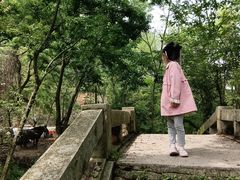 -青龙山国家森林公园