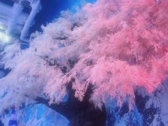 -长鹿旅游休博园