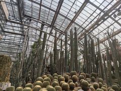 -南山植物园