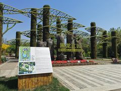 -武清南湖绿博园