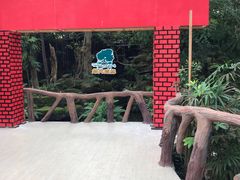 -绿光森林餐厅