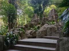-晓港公园