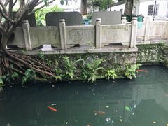 -墨池公园