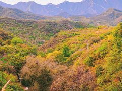 -水峪民俗村
