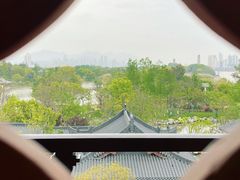 -江心屿景区