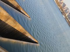 -济南国际园博园