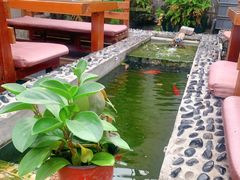 -丽江庭院之爱在路上(西单店)