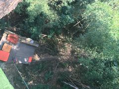 -清迈丛林飞跃 JungleFlight