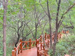 -大岭沟猕猴桃谷风景区
