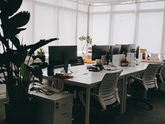 -JT PREP国际学科课程·IB·AP·Alevel(陆家嘴校区)