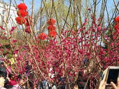 -唇辣号重庆老火锅(石担路店)