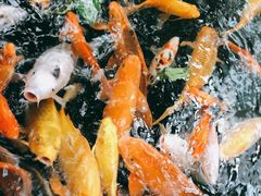 -上海大自然野生昆虫馆(东方明珠·爬宠昆虫探索中心)