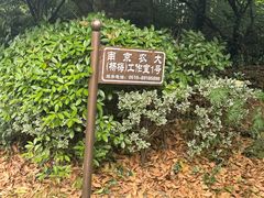 -嬉乐湾休闲旅游区