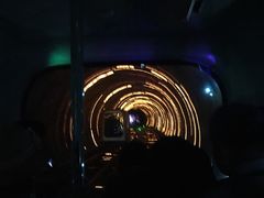 -东方明珠国际旅行社有限公司