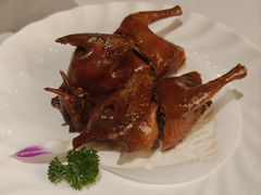 -国龙大酒店-中餐厅