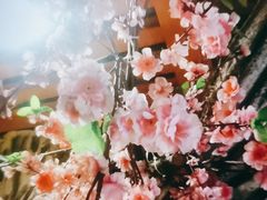 -蠔友汇(皇姑店)