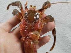 -大连熟食品交易中心