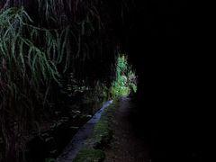 -西岭雪山大飞水景区