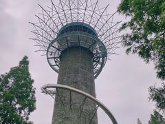 -黄海国家森林公园