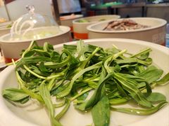 -密友回转自助火锅(世茂国际广场店)