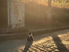 -麦当劳(无锡永乐店)