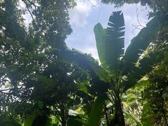 -梧桐山风景名胜区