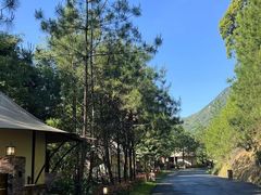 -龙岩森林水乡景区