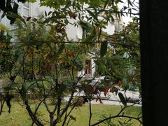 -青岛海景花园大酒店