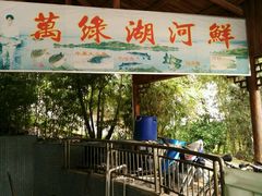 -鲤鱼塘农家山庄