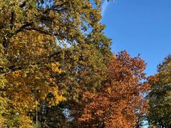 -欧洲被害犹太人纪念碑