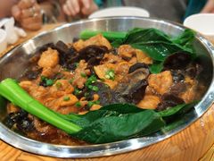 虫草花木耳蒸滑鸡-喜上喜鸡煲翅(吉大店)