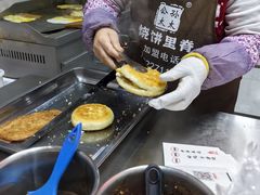-塘沽森林公园
