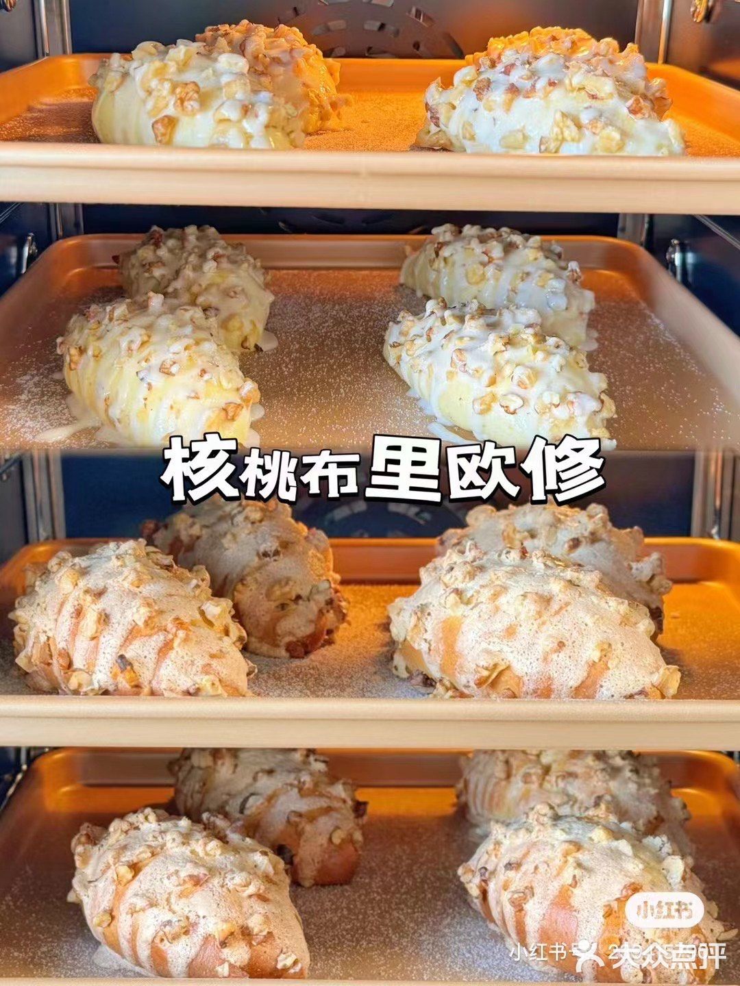 在苍南钱库‼️ 贝果 碱水包脑袋狂喜 🥯