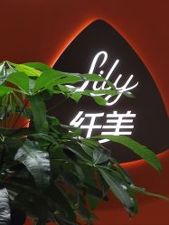 -Lily纤美·科技减脂中心