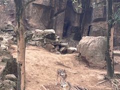-杭州野生动物世界